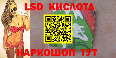 дмт Аргун