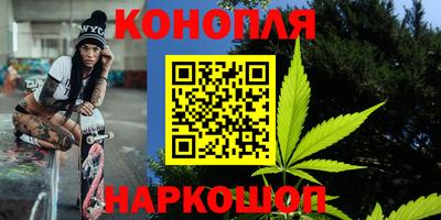 дмт Аргун