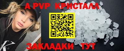 дмт Аргун