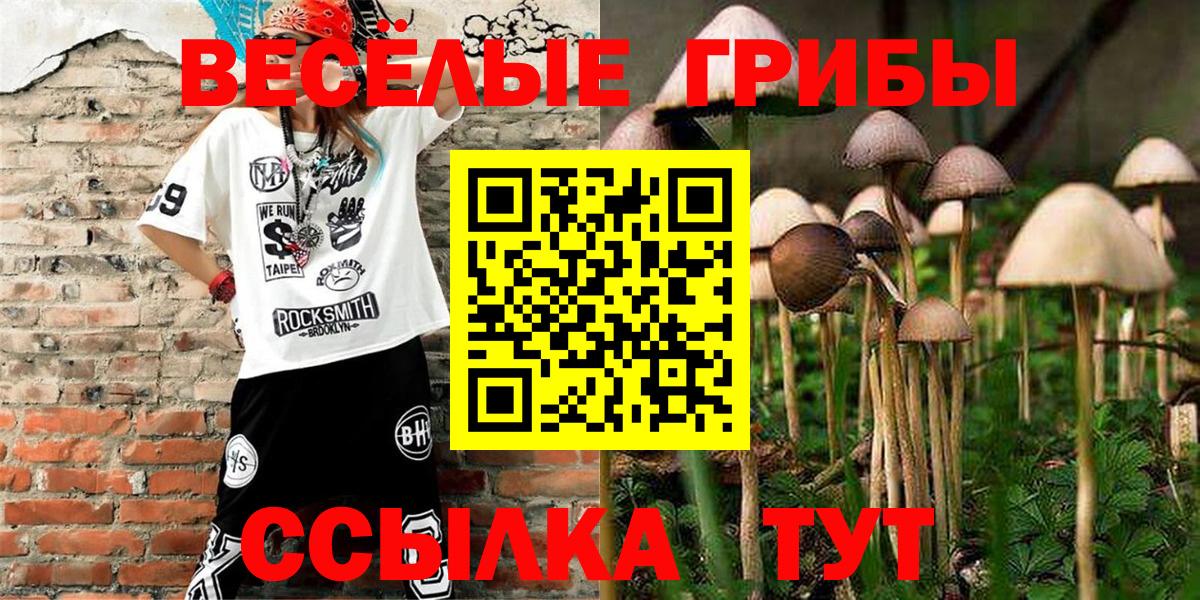 Галлюциногенные грибы Psilocybine cubensis Богданович