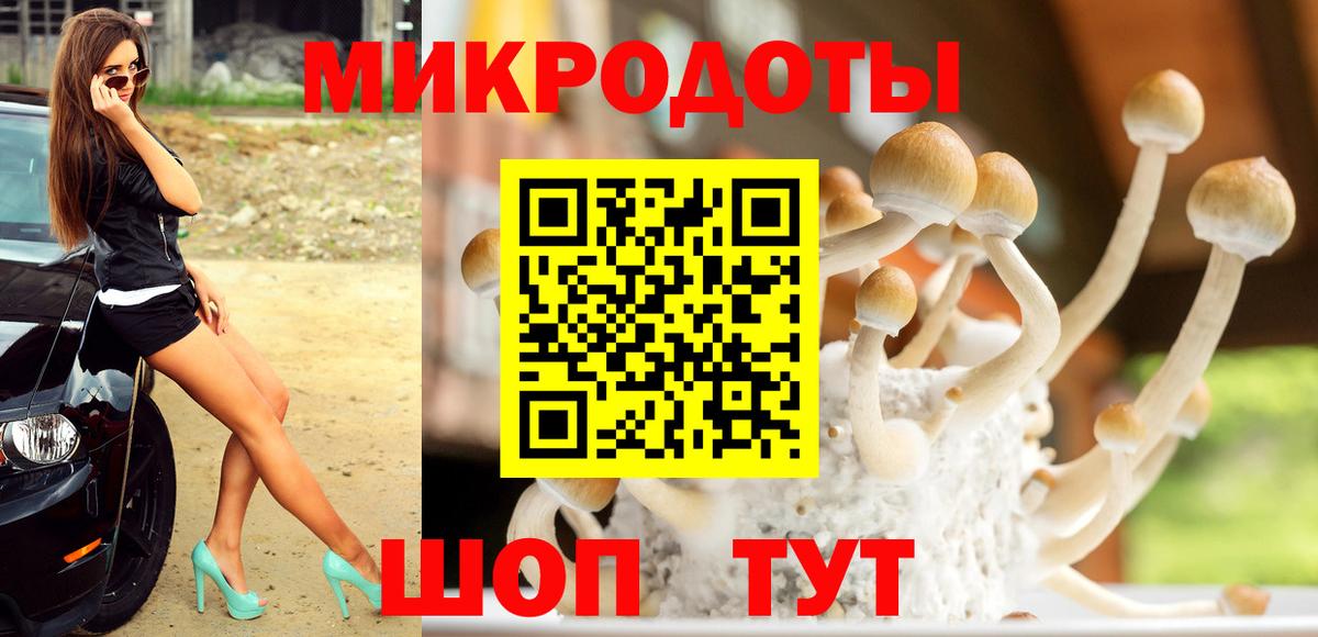 даркнет сайт  Галлюциногенные грибы Psilocybe  Вход с VPN  Богданович 